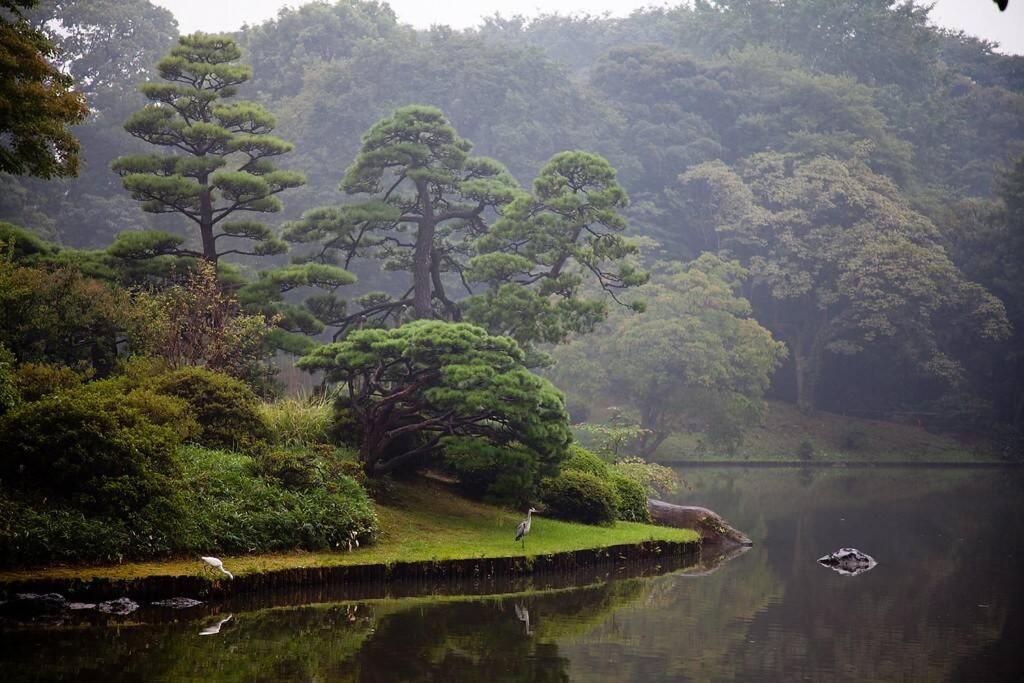 Tora Hotel Tokyo-Rikugienn 寅ホテル 六義園 C Kültér fotó